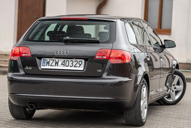 Audi A3 cena 22900 przebieg: 237000, rok produkcji 2006 z Bełchatów małe 211